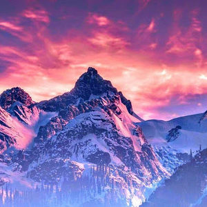 Meet your Posher, Kinsley